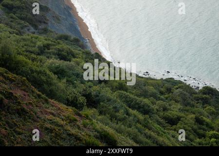 View of the Jurassic Coast from Golden Cap at sunrise. Dorset, UK. Stock Photo