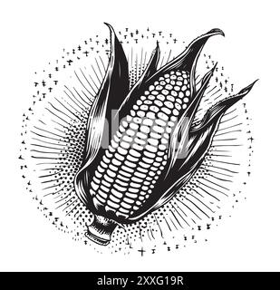 Drawing corn plant, cob, grains, detailed liner drawing, sketch, packaging design element, labels, menu, isolated vector object of a botanical illustration of corn Stock Vector