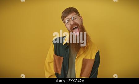 A young adult man with redhead, beard, and glasses sticking tongue out against a yellow background. Stock Photo