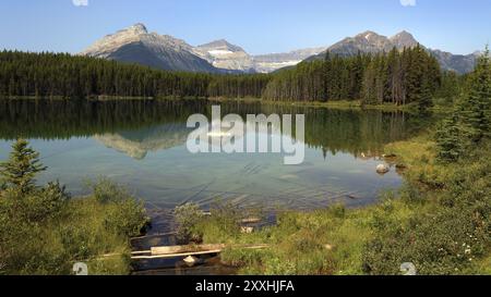 Herbert Lake in Banff National Park in Alberta Canada Stock Photo