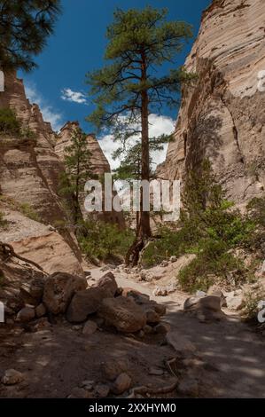 Entrance to Kasha-Katuwe Tent Rocks National Monument, Eingang zum