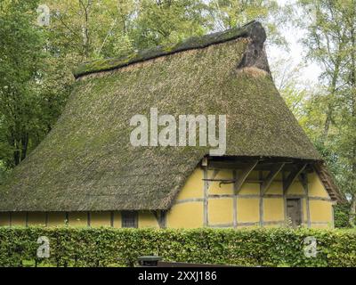 Traditional half-timbered house with thatched roof in the middle of a wooded area, Bad Zwischenahn, ammerland, germany Stock Photo