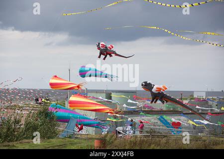 St. Petersburg, Russia. 24th Aug, 2024. Kites fly in the sky during a kite festival in Kronstadt, St. Petersburg, Russia, Aug. 24, 2024. The festival was held here from Aug. 24 to 25. Credit: Irina Motina/Xinhua/Alamy Live News Stock Photo