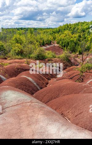 Formed 450 million years ago, the Cheltenham Badlands are a large area of exposed red Queenston red shale that contain thin layers of siltstone and sa Stock Photo