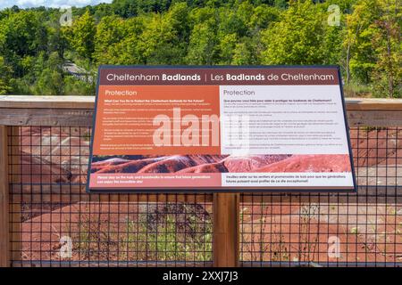 Formed 450 million years ago, the Cheltenham Badlands are a large area of exposed red Queenston red shale that contain thin layers of siltstone and sa Stock Photo