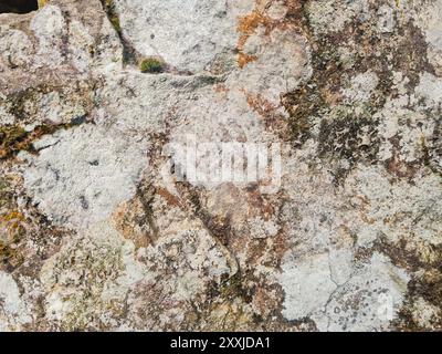 close up vief of detailed rock stone with some white mold stain, grunge textured pattern image. Stock Photo