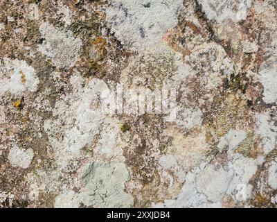 close up vief of detailed rock stone with some white mold stain, grunge textured pattern image. Stock Photo