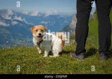 Hiking in the mountains for relax an enjoy the nature. Share the wiht my dog make it a unique experience Stock Photo