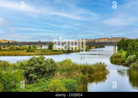 The Iron Railway Bridge over the Guadiana (inaugurated in 1883) is the maximum exponent of this type of architecture in Merida Stock Photo