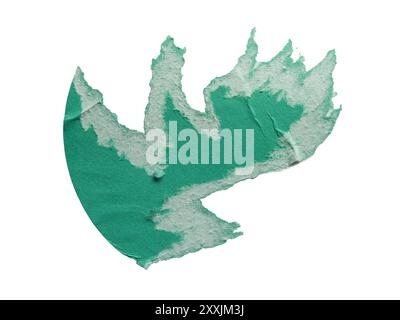 Torn green sticker paper on white background with clipping path Stock Photo
