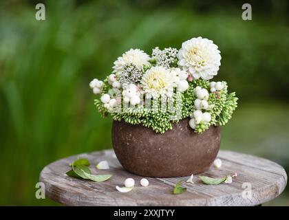 Autumn flower arrangement with white dahlia, showy stonecrop flowers and snowberry branches in a rustic vase. Floristic or gardening concept. Stock Photo