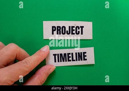 Project timeline message written on paper pieces with green background. Conceptual project timeline symbol. Copy space. Stock Photo