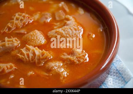 Callos a la madrileña, close view. Madrid, Spain. Stock Photo