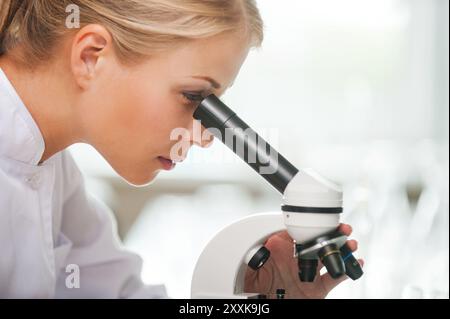Taking closer look at bacteria. Side view of concentrated young female scientist using microscope while working in the laboratory Stock Photo
