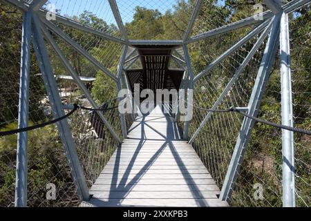 Inside the bush canopy walk at Rio Tinto Naturescape Kings Park, Botanic Garden, Perth, Western Australia Stock Photo