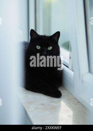 A black cat with piercing green eyes sits calmly on a white window sill, illuminated by soft natural light, creating a serene and relaxed atmosphere i Stock Photo