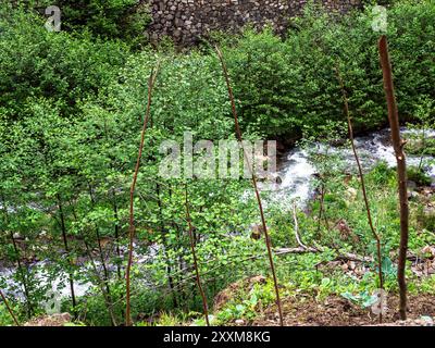water stream in mountains in Caykara district of Turkey on overcast summer day Stock Photo