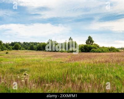 overgrown field near village Nikulskoe of Pereslavl-Zalessky town, Yaroslavl oblast, Russia on summer twilight Stock Photo