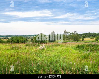 russian natural landscape near village Nikulskoe of Pereslavl-Zalessky town, Yaroslavl oblast, Russia on summer twilight Stock Photo