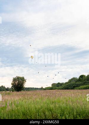 hot air balloons in evening sky above wild fiield near village Nikulskoe of Pereslavl-Zalessky town, Yaroslavl oblast, Russia on summer twilight Stock Photo