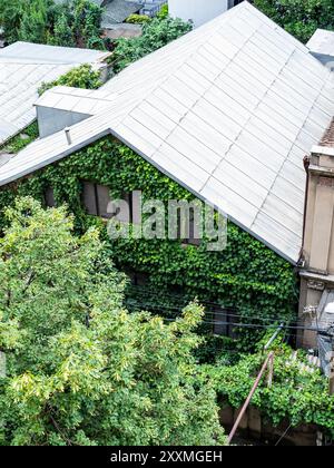 top view of green ivy overgrown facade of city house in Tbilisi city, Georgia on summer day Stock Photo