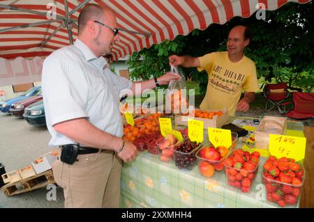 Apricot sale at the market stall at the street, farmer selling agricultural goods Apricot sale at the market stall at the street Stock Photo