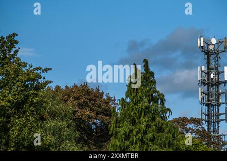 Forest Of Trees And Telephone Communication Mast Against Blue Sky With No People Stock Photo
