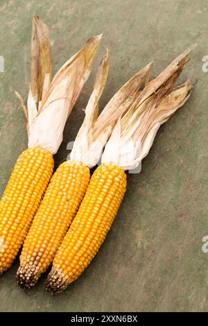 Three dry yellow ears of corn on vintage wooden background, top view Stock Photo