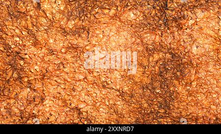 Crumpled copper foil creating an irregular surface full of texture Stock Photo