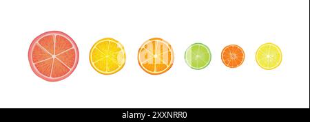 Citrus fruits set. Lemon, lime, citron, orange, mandarin and grapefruit slice pieces isolated over white background.  Vector colorful illustration in Stock Vector