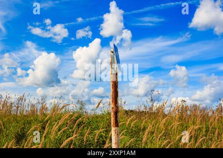 Road sign on a pole against the background of an overgrown field and clouds in the sky Stock Photo