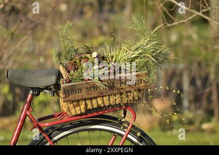 Wooden wine bottle crate filled with flowers stands on a bicycle carrier with the German inscription 'Wein schenkt Freude' (Wine gives joy) Stock Photo