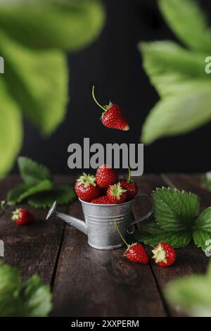 Fresh wet sweet strawberries levitation in watering can on wooden background table, black wall, green leaves, water drops. Freshness, summer concept w Stock Photo