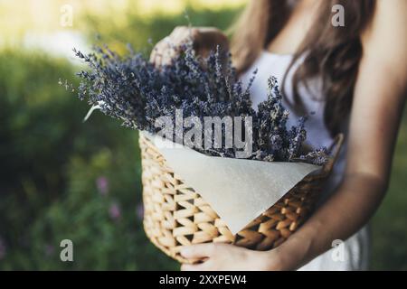 Girl is holding purple lavender flowers in the wooden box. Stock Photo