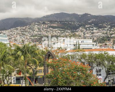 City view with many buildings and lush vegetation against a cloudy sky and surrounded by mountains, madeira, portugal Stock Photo