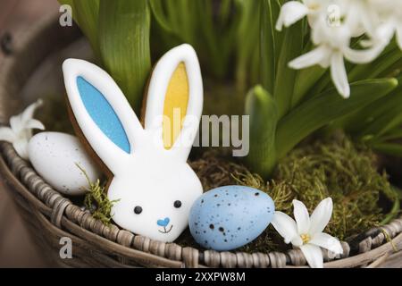 Easter bunny gingerbread cookie laying on the hyacinth flowerpot. Rabbit ears are colored with yellow blue as Ukraine flag. White and blue Easter eggs Stock Photo