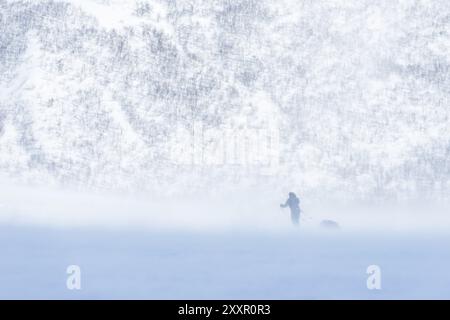 Skiers in the snow, Vistasdalen, Kebnekaisefjaell, Norrbotten, Lapland, Sweden, March 2014, Europe Stock Photo