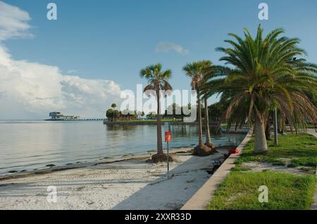 Wide shot Looking  south over green grass, palm trees, seawall and sandy beach St. Petersburg, FL. towards Tampa Bay and Pier in back. Partly sunny Stock Photo