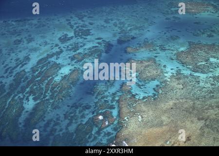 The Great Barrier Reef World Heritage Site near Port Douglas Stock Photo