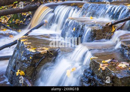 Falling water in a creek with autumn colored leaves Stock Photo