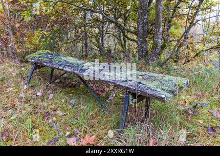 Decaying old park bench in autumn Stock Photo
