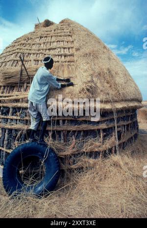 Dinka man stands on an old truck tire while thatching his hut near Malakal in southern Sudan. Stock Photo