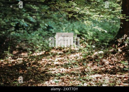 Forest-themed preschool sign with animals in winter Stock Photo