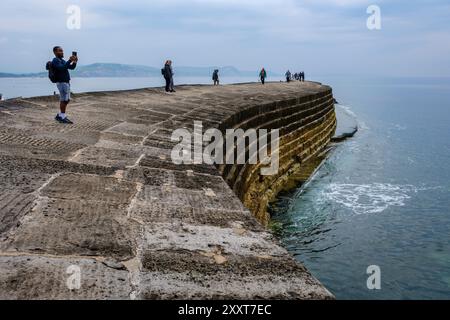 The Cobb, Lyme Regis, Dorset Stock Photo