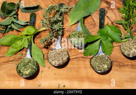 various garden herbs, fresh and rubbed on the spoon Stock Photo