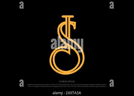Initial Letter IS SI DS SD Logo Design Vector Stock Vector