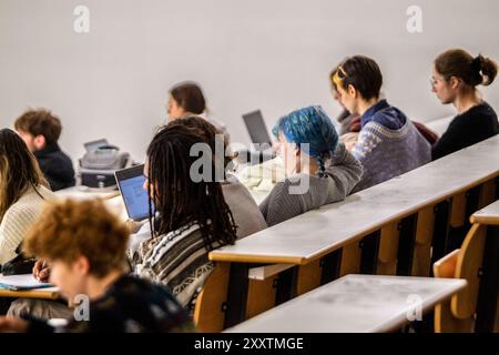 Lyon, Bron (central-eastern France), Lumiere University Lyon 2, campus of Porte des Alpes: lecture in an auditorium with a group of Psychology undergr Stock Photo