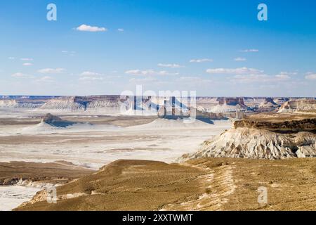 Bozzhira valley aerial view, Mangystau region, Kazakhstan. Beautiful central asia landmark Stock Photo