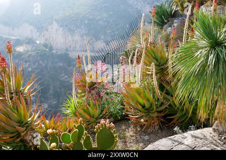 Eze, France - May 23, 2022: The Jardin botanique d'Eze, a botanical mountaintop garden located in Eze, on the French Riviera Stock Photo