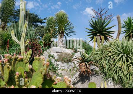 Eze, France - May 23, 2022: The Jardin botanique d'Eze, a botanical mountaintop garden located in Eze, on the French Riviera Stock Photo